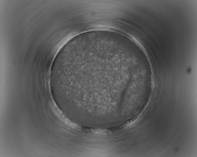 X0000115540899200911271407