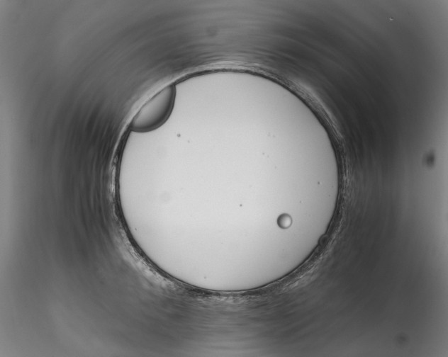 X0000115540900200911271407