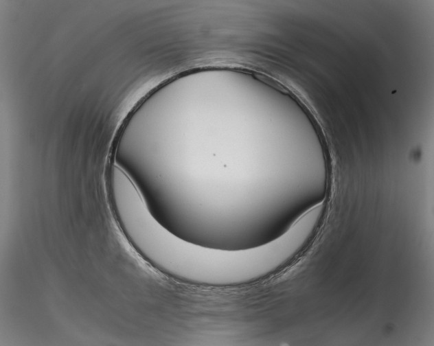 X0000115540901200911271407