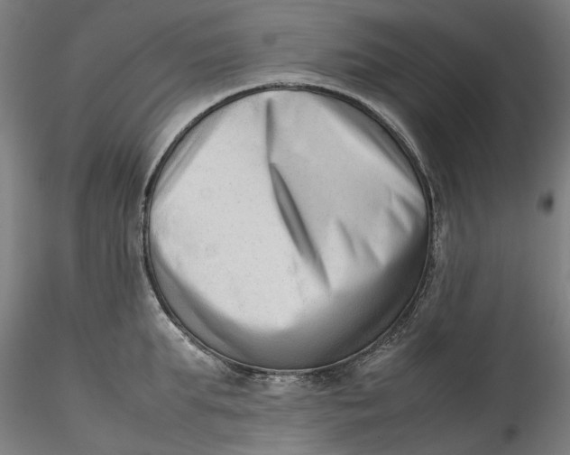 X0000115540903200911271407