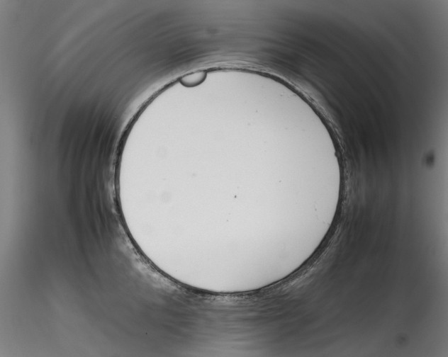 X0000115540904200911271407