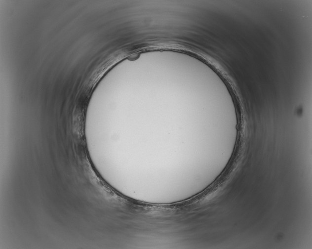 X0000115540905200911271407