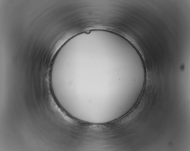 X0000115540906200911271407