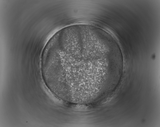 X0000115540907200911271407