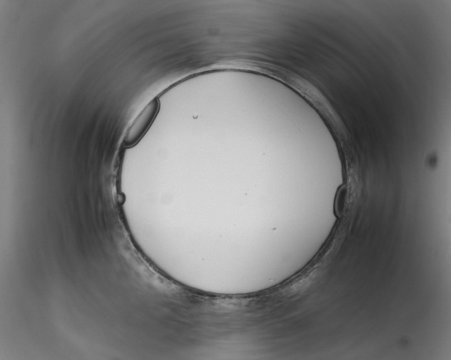 X0000115540908200911271407