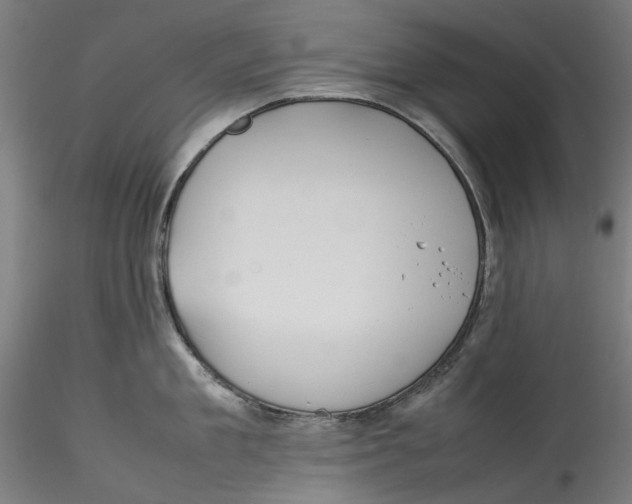 X0000115540909200911271407