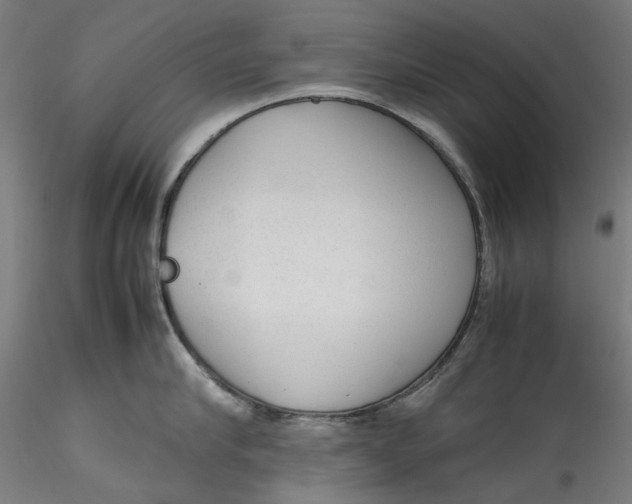 X0000115540910200911271407