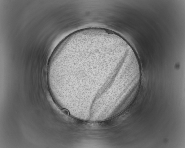 X0000115540911200911271407