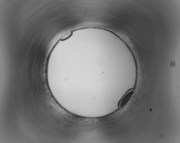 X0000115540912200911271407