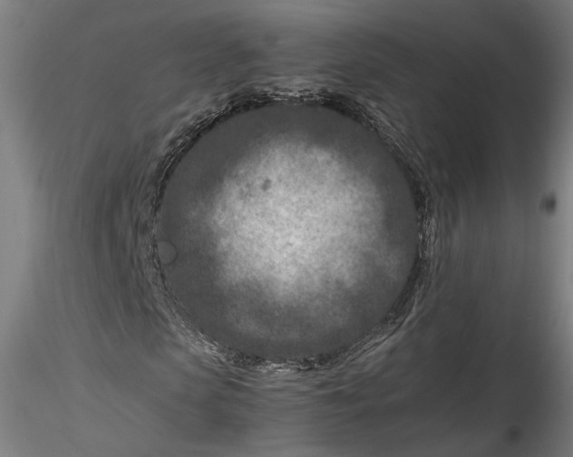 X0000115540913200911271407