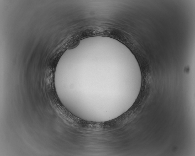 X0000115540914200911271407