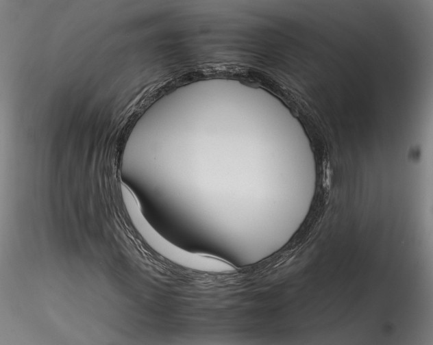 X0000115540915200911271407