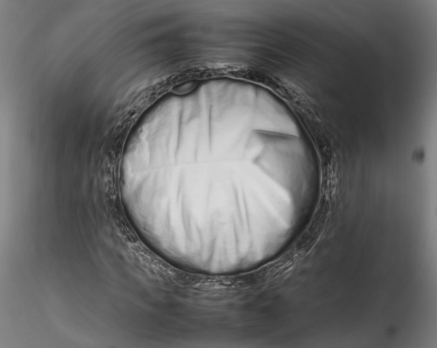 X0000115540917200911271407