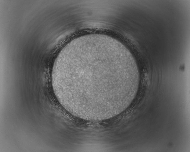 X0000115540918200911271407