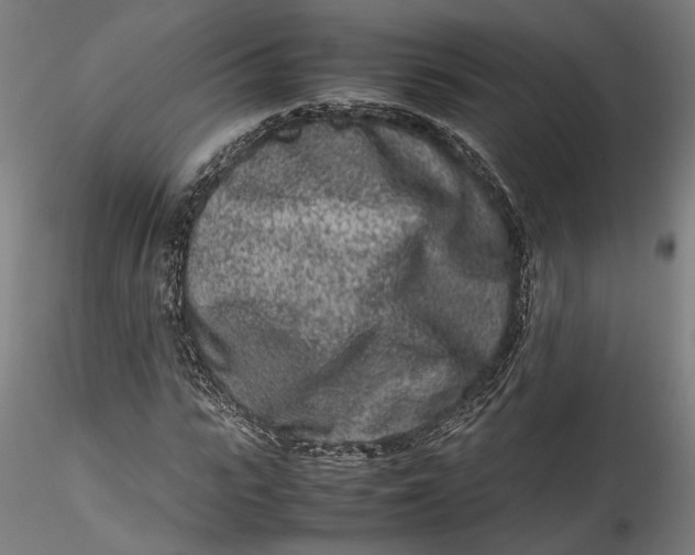 X0000115540919200911271407