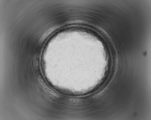 X0000115540921200911271407