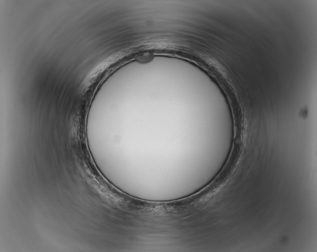 X0000115540922200911271407