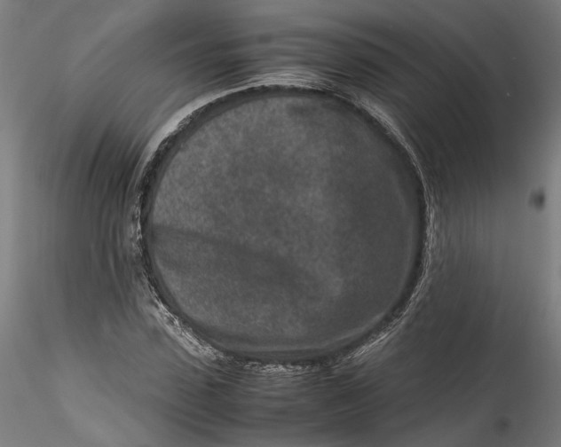 X0000115540923200911271407