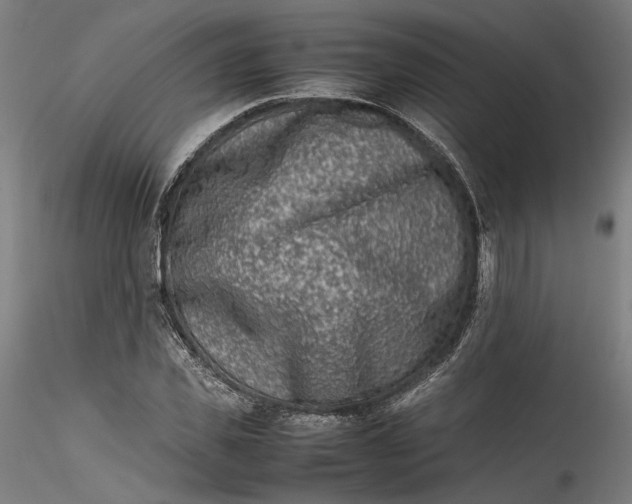 X0000115540925200911271407