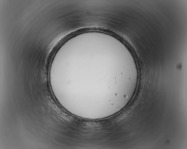 X0000115540927200911271407