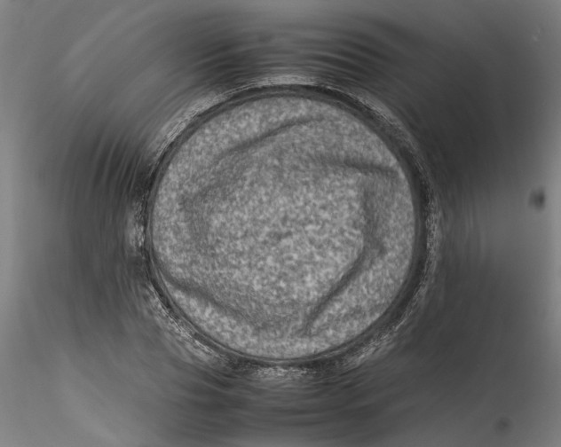 X0000115540929200911271407