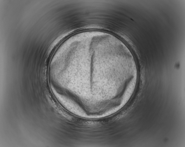 X0000115540933200911271407