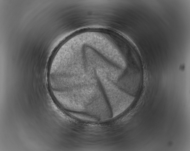 X0000115540935200911271407