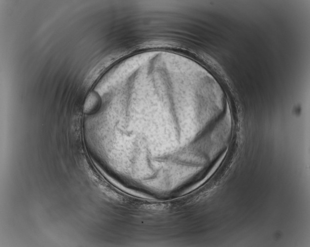 X0000115540937200911271407