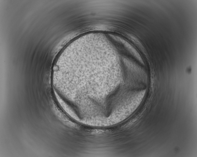 X0000115540938200911271407