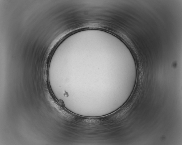 X0000115540939200911271407