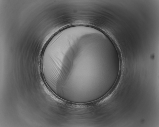 X0000115540941200911271407