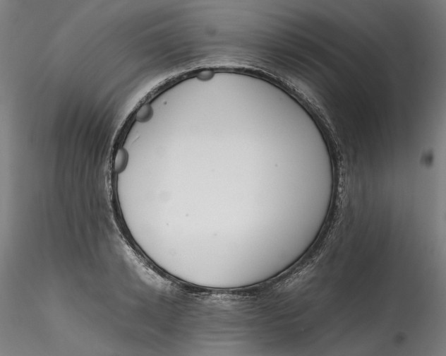 X0000115540942200911271407