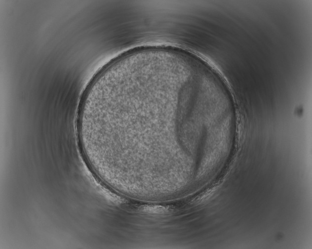 X0000115540943200911271407