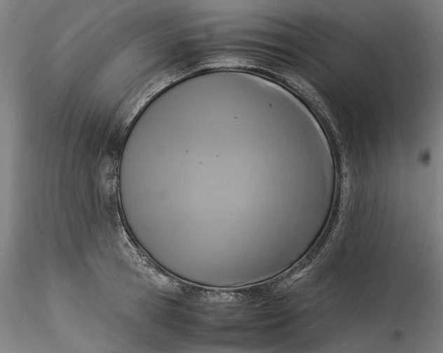 X0000115540945200911271407