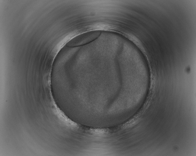 X0000115540946200911271407