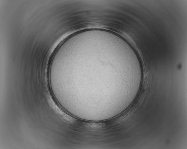 X0000115540947200911271407