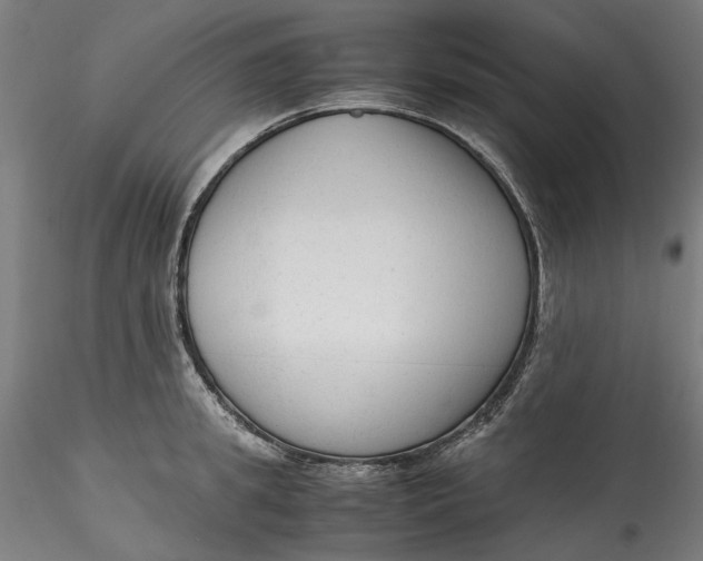 X0000115540949200911271407