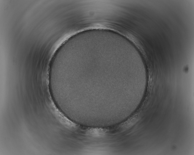 X0000115540950200911271407