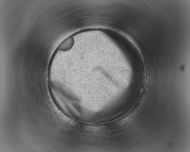 X0000115540951200911271407