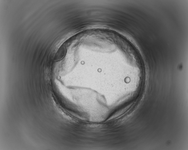 X0000115540953200911271407