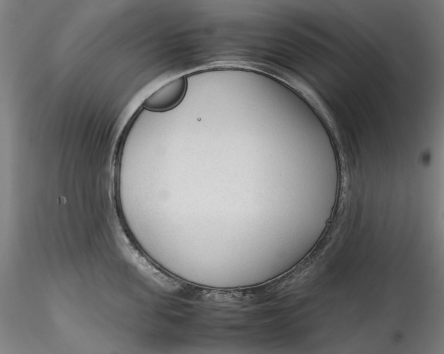 X0000115540955200911271407