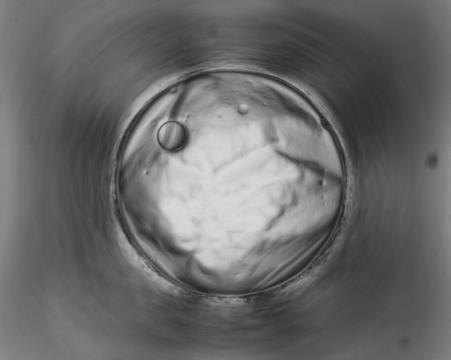 X0000115540957200911271407