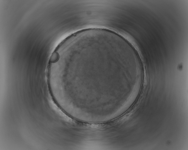 X0000115540958200911271407