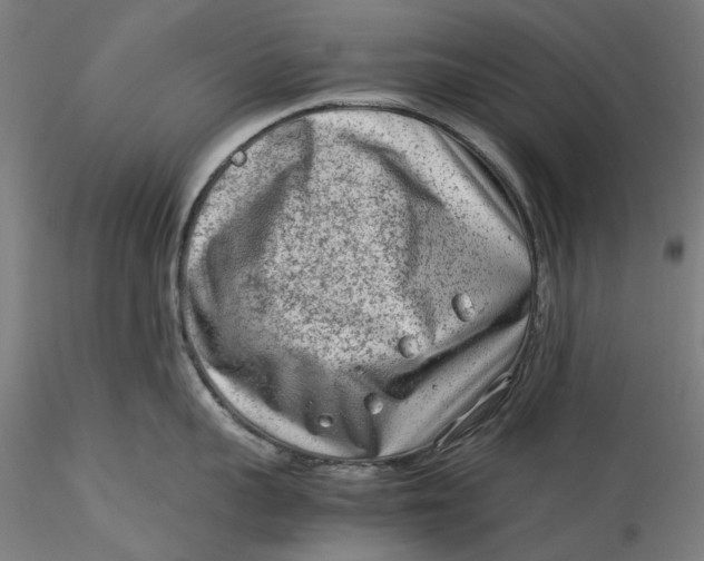 X0000115540959200911271407