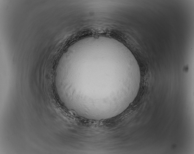 X0000115540961200911271406