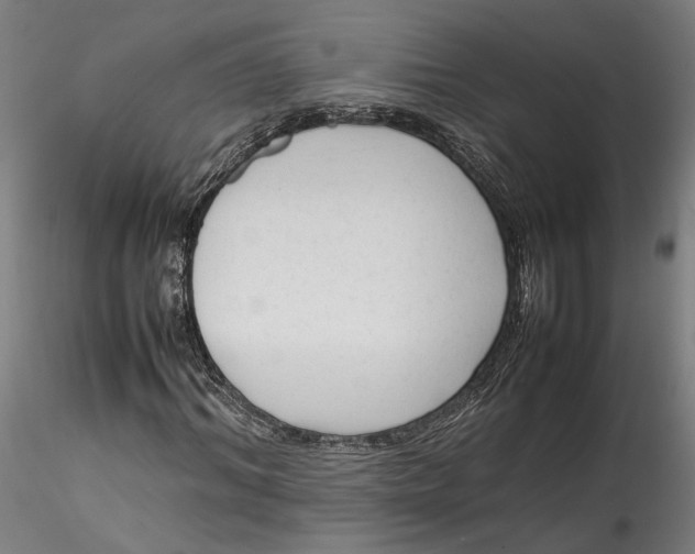 X0000115540964200911271406