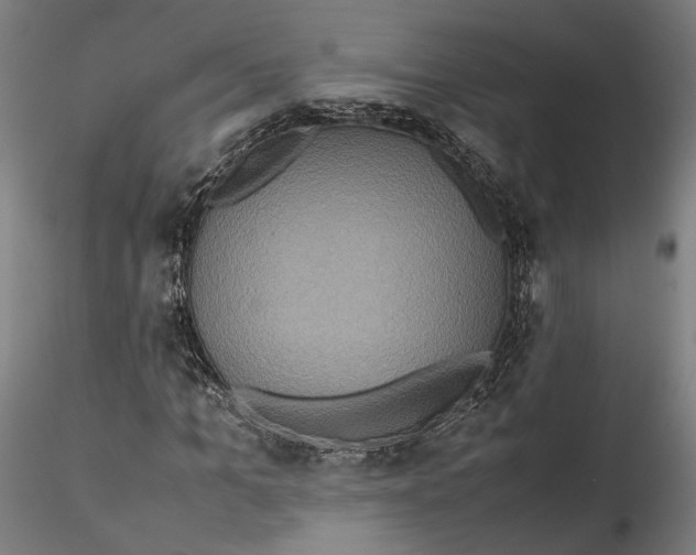 X0000115540965200911271406