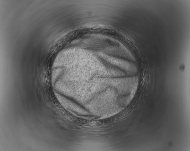 X0000115540966200911271406