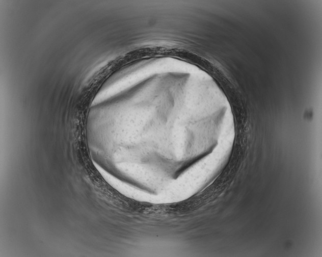 X0000115540967200911271406