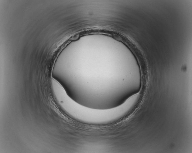 X0000115540969200911271406